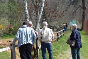 20190402_133619 20190402_133619