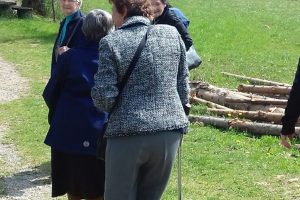 20190402_133631 20190402_133631